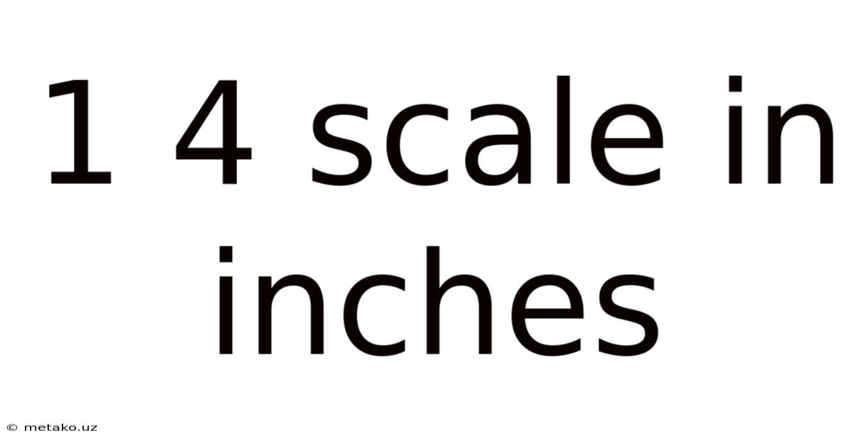 1 4 Scale In Inches