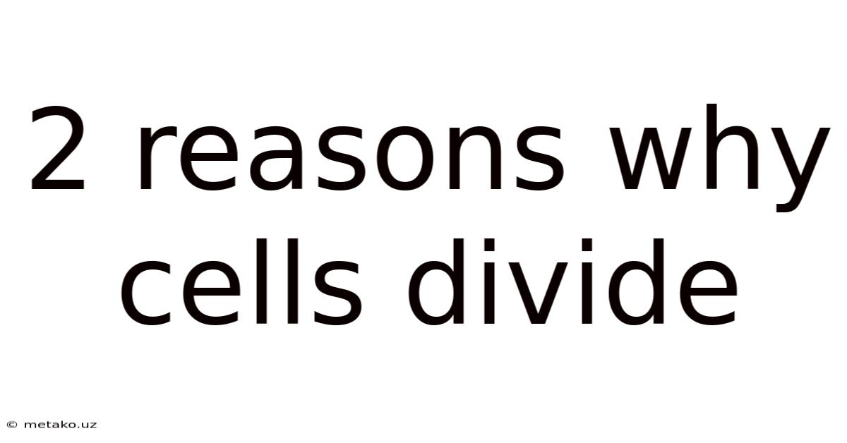2 Reasons Why Cells Divide