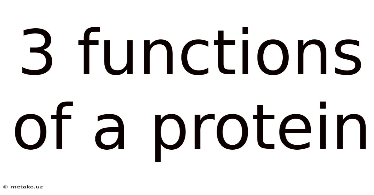 3 Functions Of A Protein