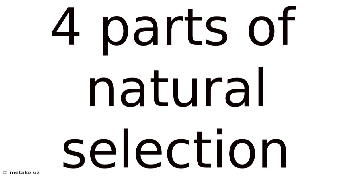 4 Parts Of Natural Selection
