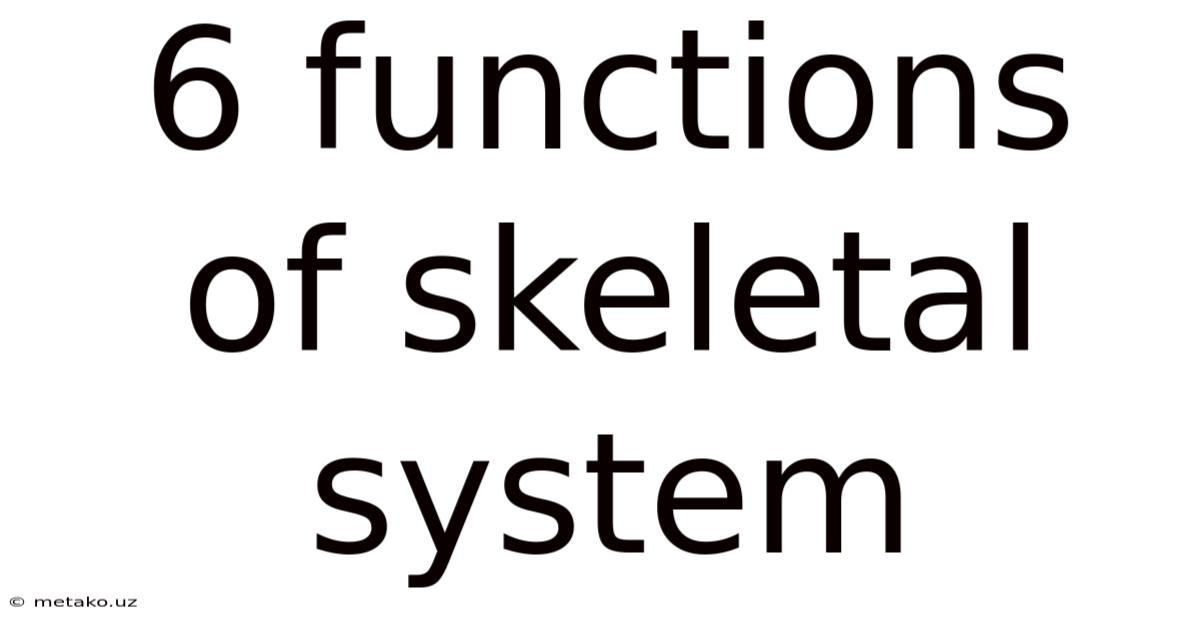 6 Functions Of Skeletal System