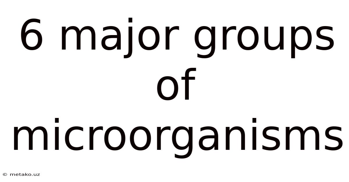 6 Major Groups Of Microorganisms