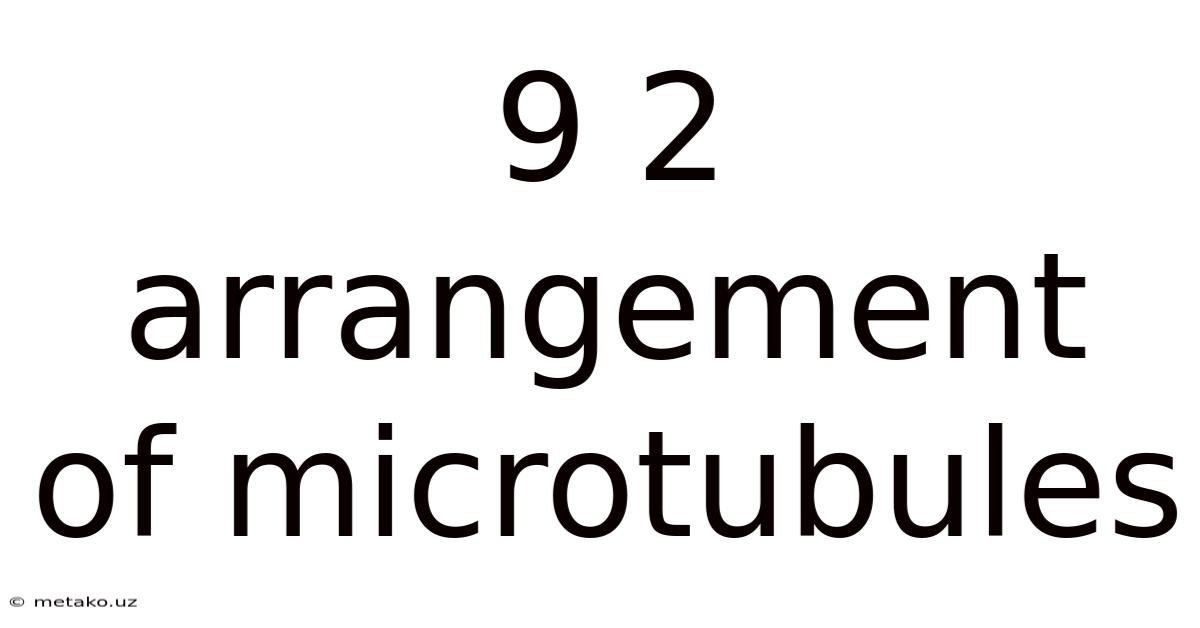 9 2 Arrangement Of Microtubules