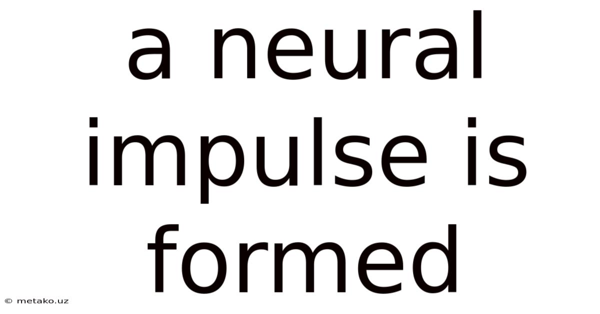 A Neural Impulse Is Formed