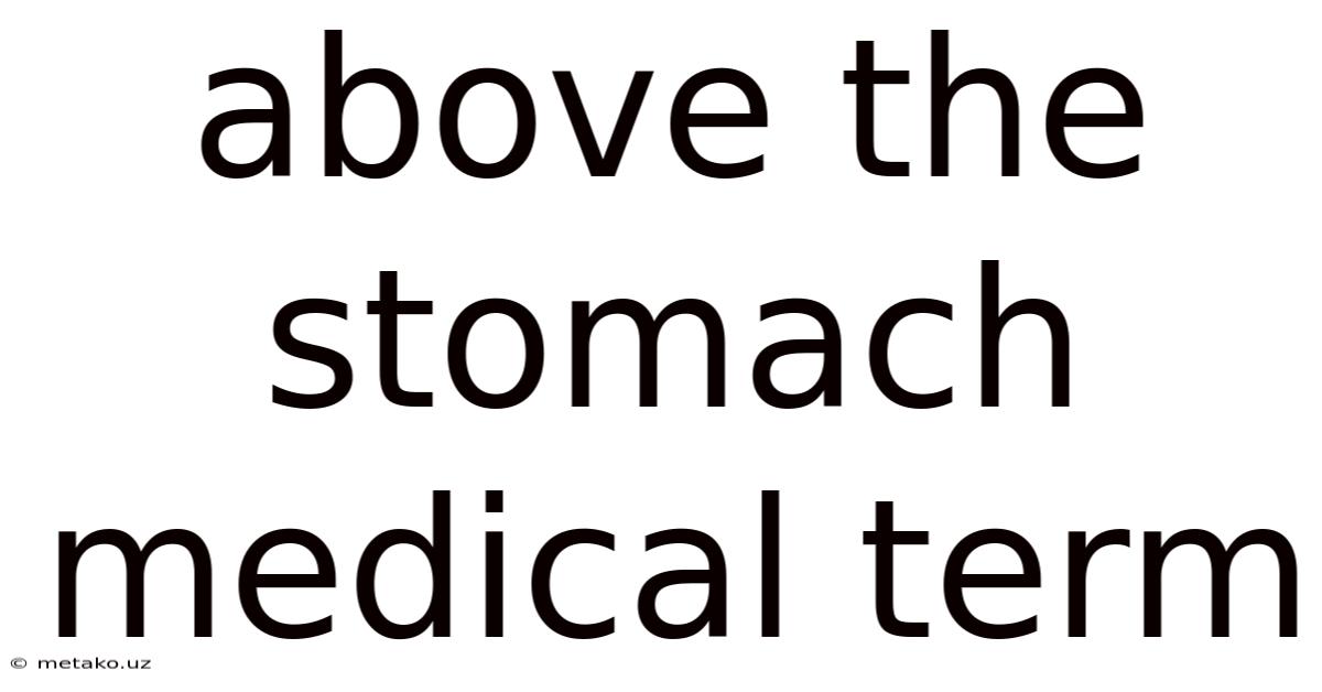 Above The Stomach Medical Term