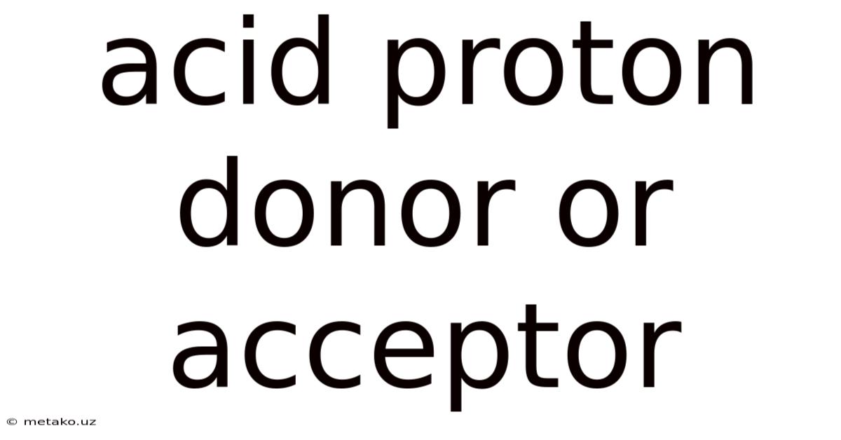 Acid Proton Donor Or Acceptor