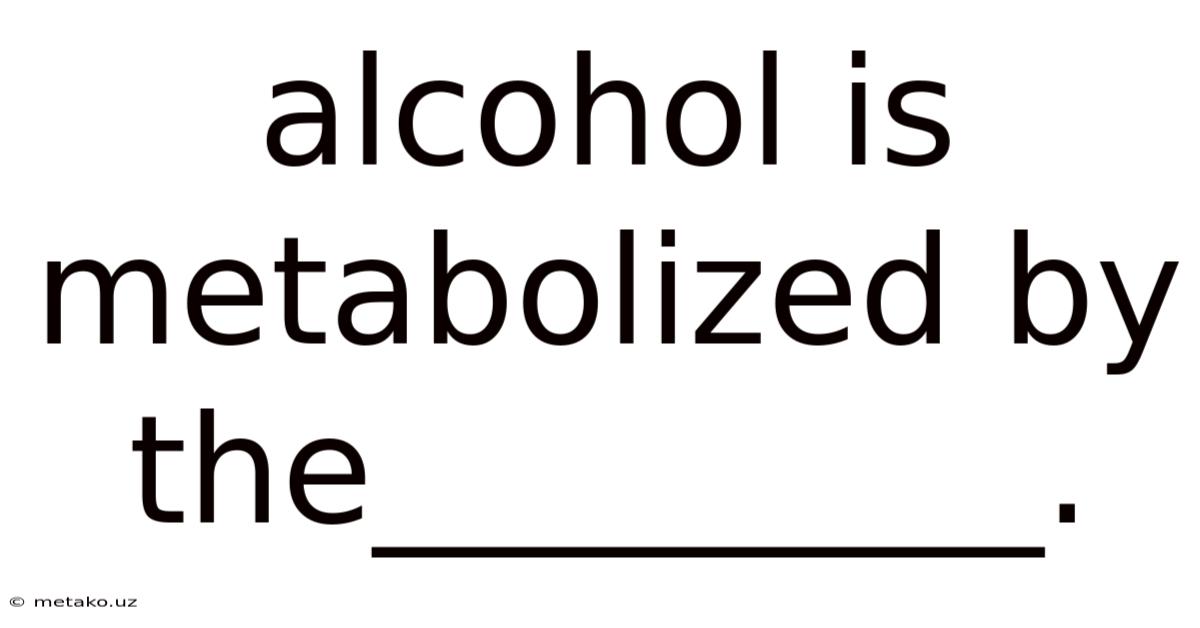 Alcohol Is Metabolized By The_________.