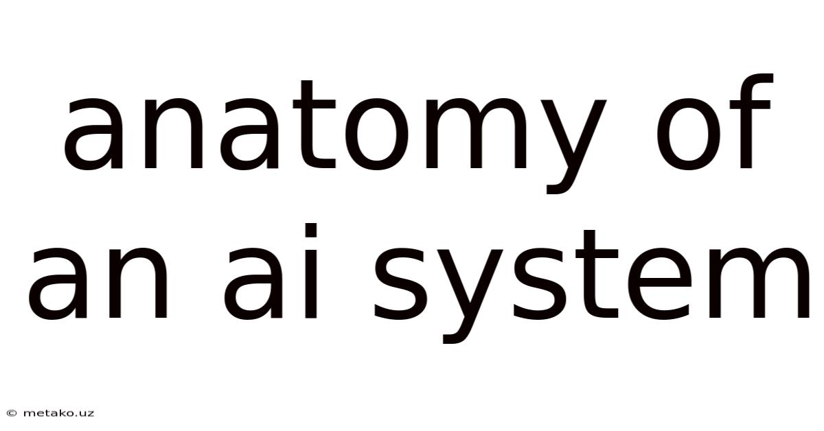 Anatomy Of An Ai System