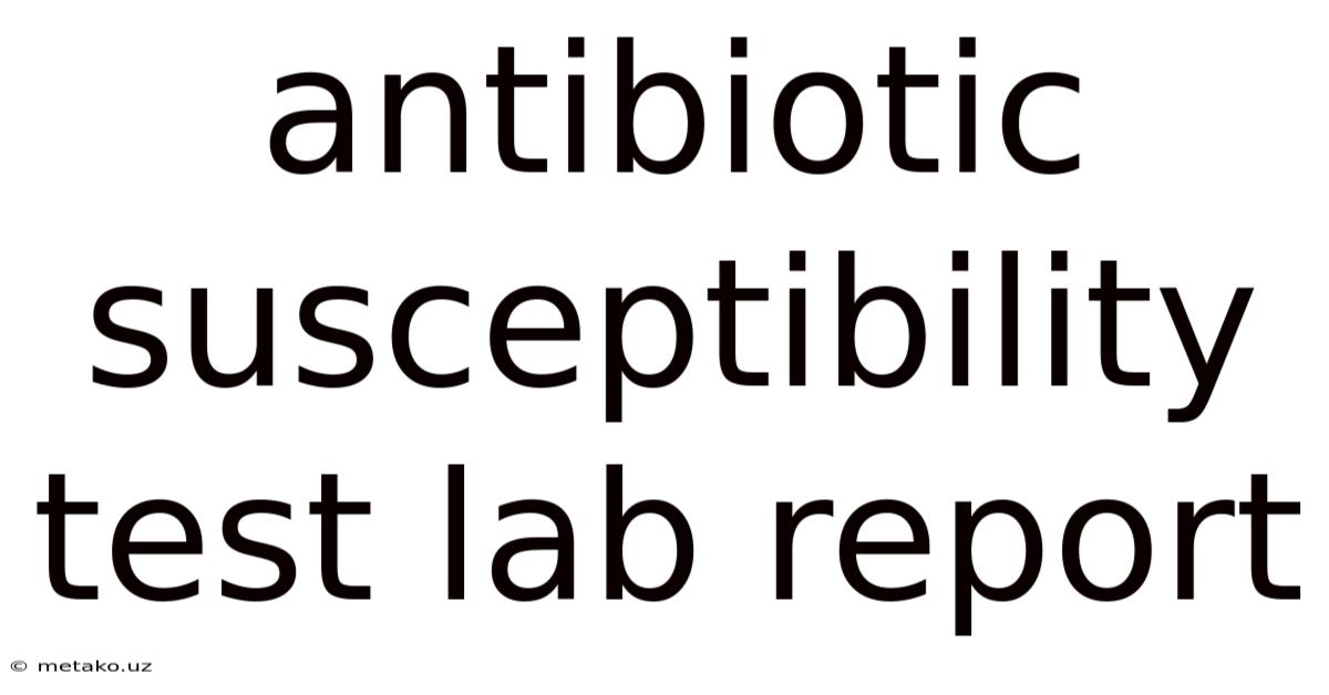 Antibiotic Susceptibility Test Lab Report