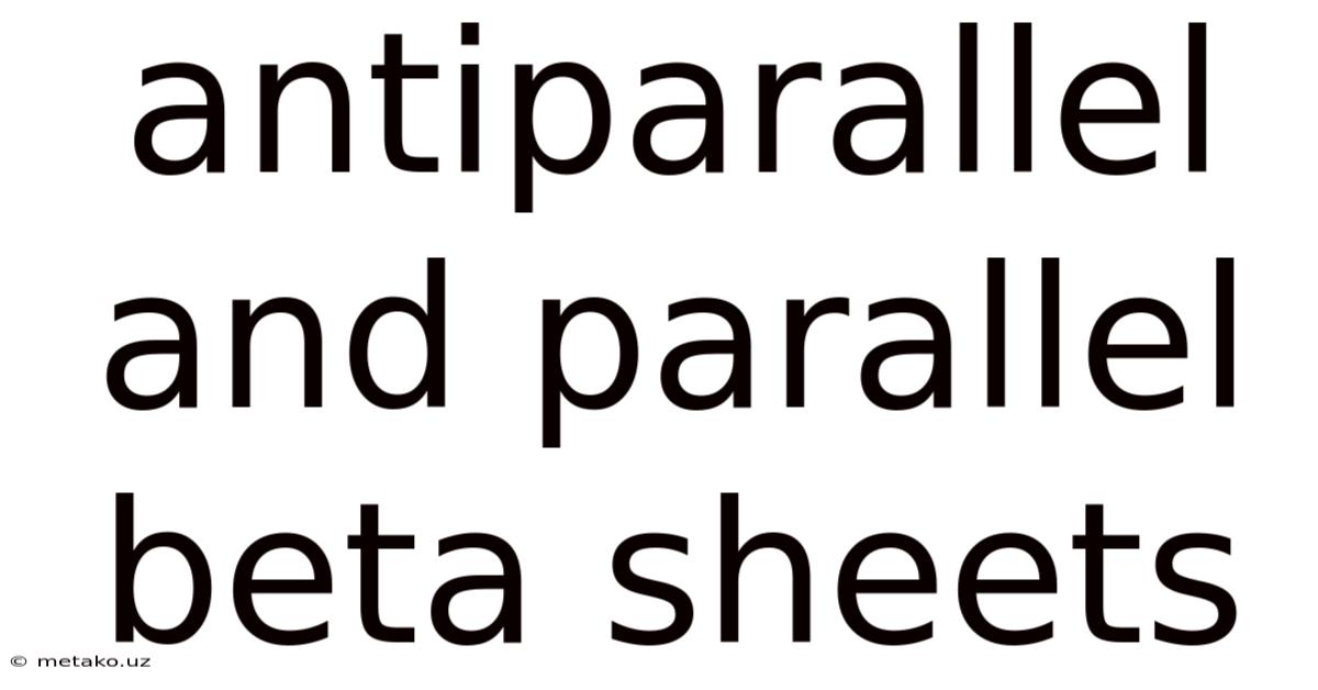 Antiparallel And Parallel Beta Sheets