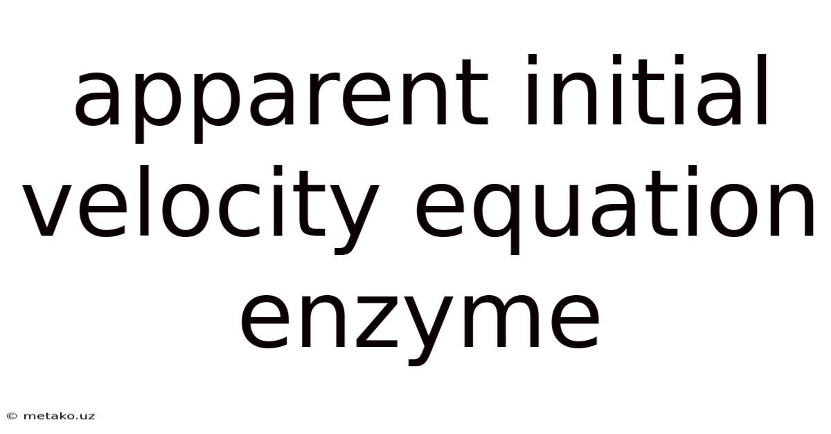 Apparent Initial Velocity Equation Enzyme