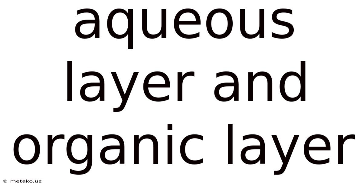 Aqueous Layer And Organic Layer