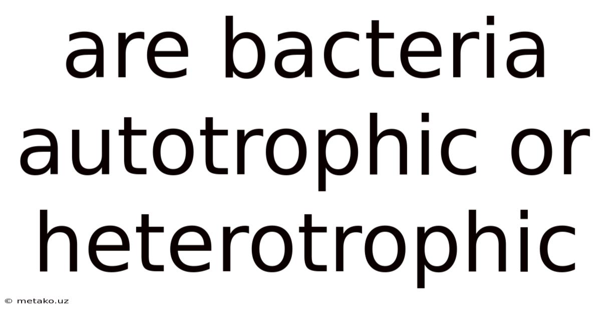 Are Bacteria Autotrophic Or Heterotrophic