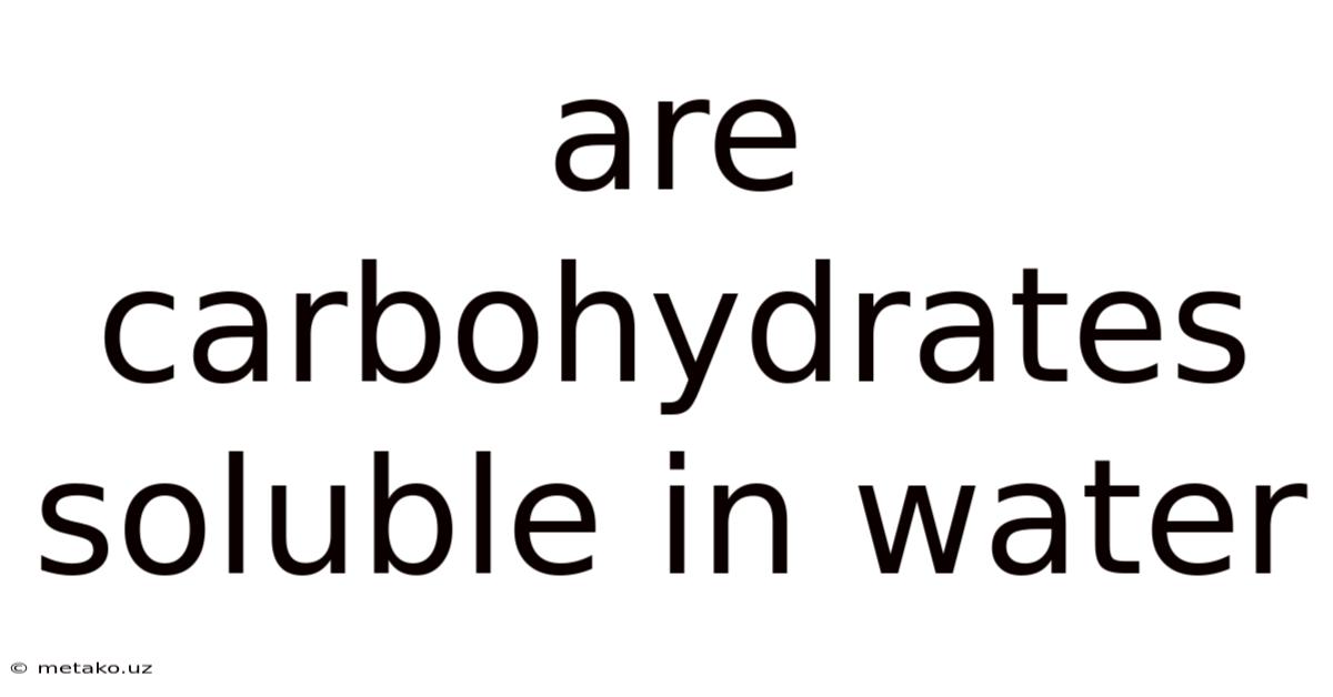 Are Carbohydrates Soluble In Water