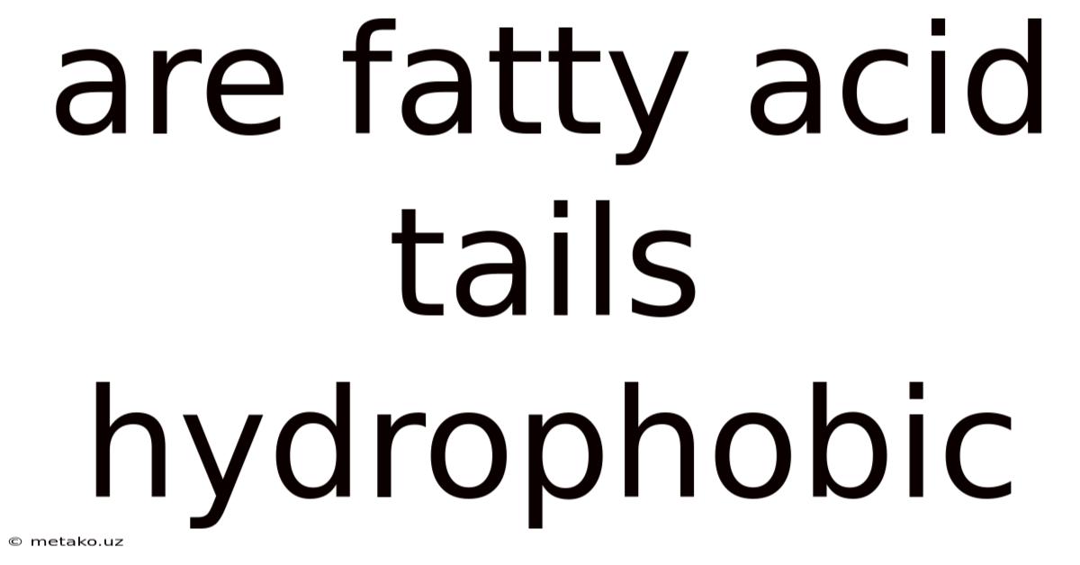 Are Fatty Acid Tails Hydrophobic