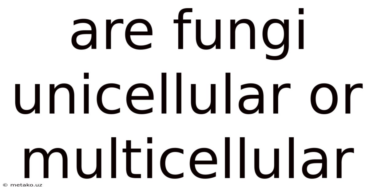 Are Fungi Unicellular Or Multicellular