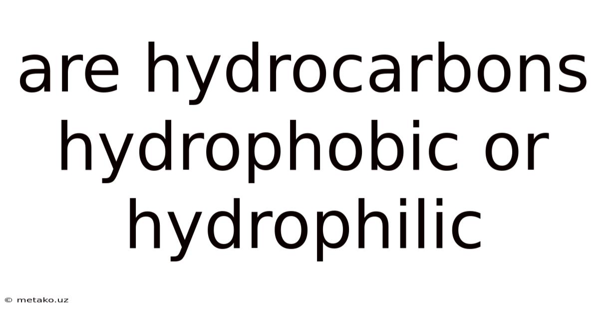 Are Hydrocarbons Hydrophobic Or Hydrophilic