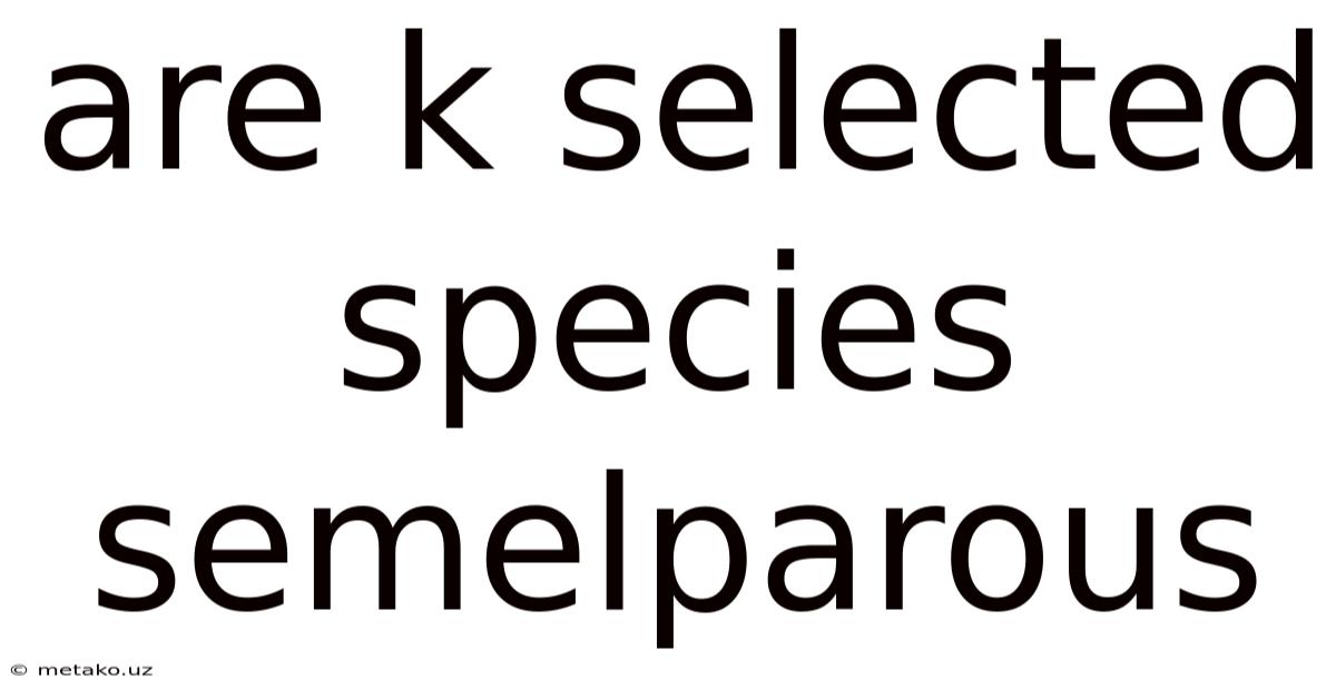 Are K Selected Species Semelparous