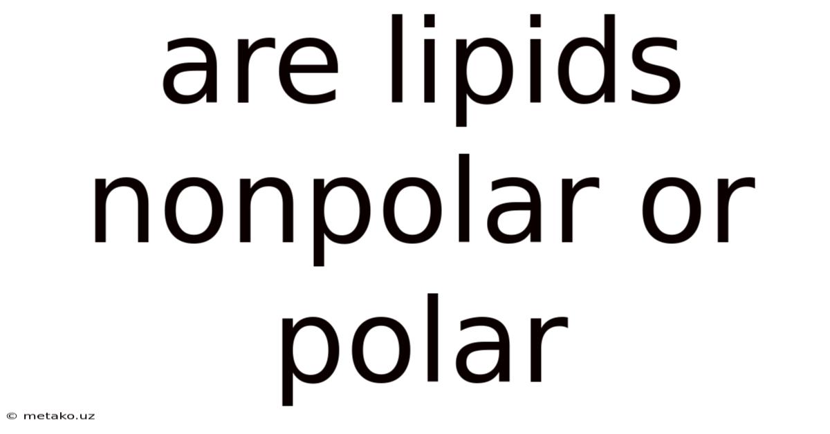Are Lipids Nonpolar Or Polar