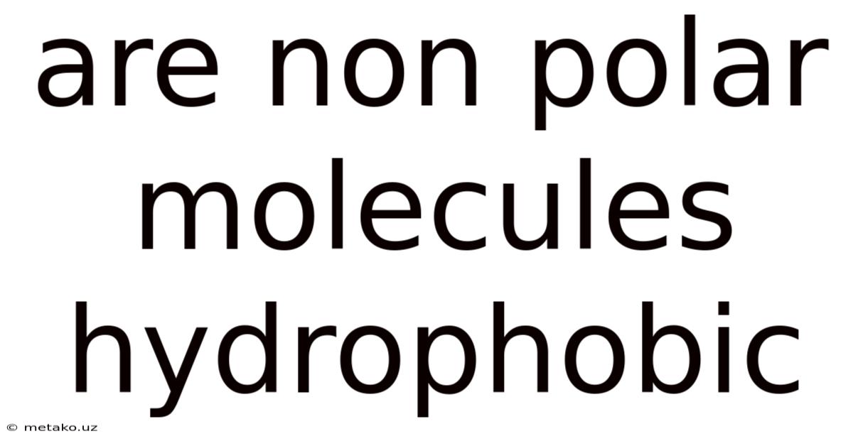 Are Non Polar Molecules Hydrophobic