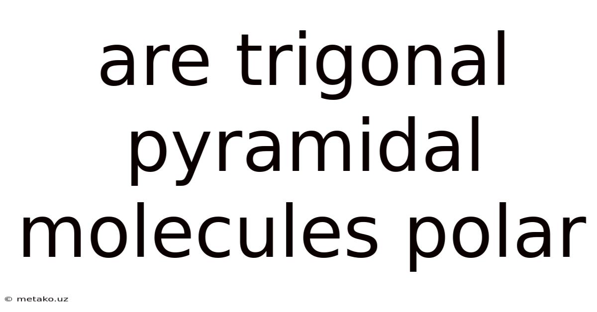 Are Trigonal Pyramidal Molecules Polar