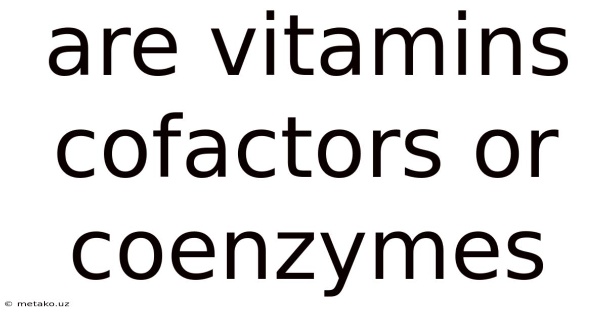 Are Vitamins Cofactors Or Coenzymes
