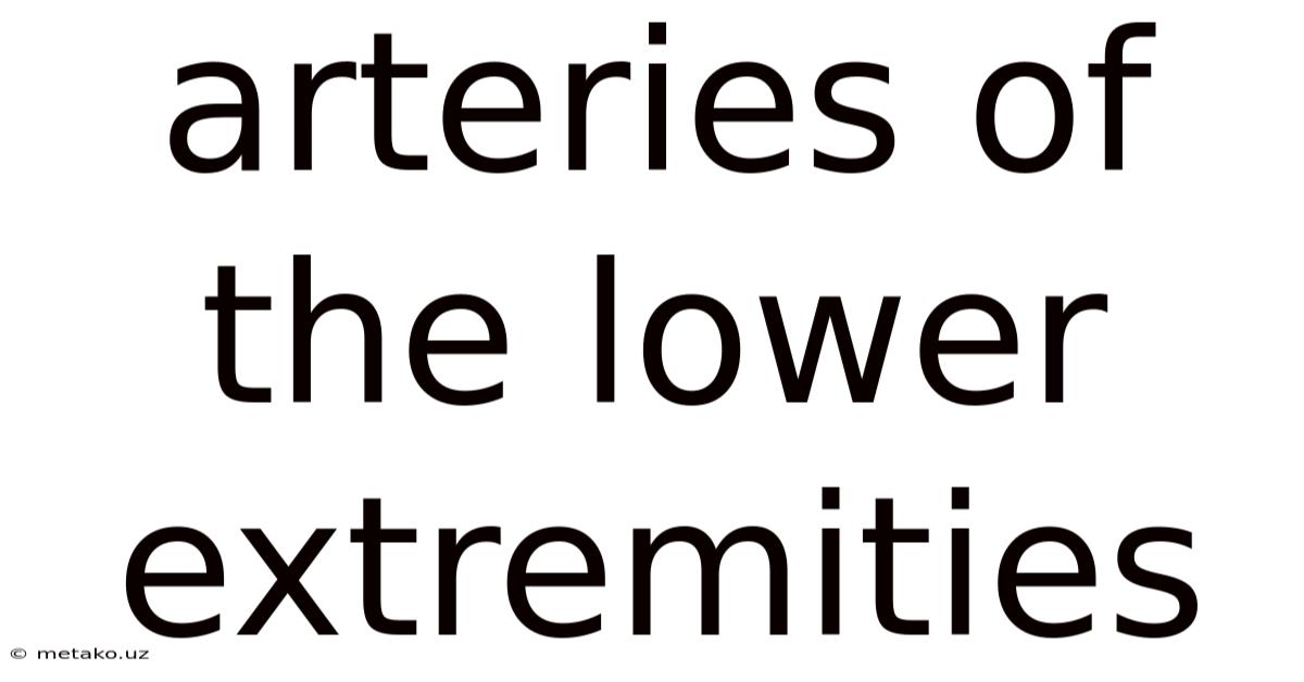 Arteries Of The Lower Extremities