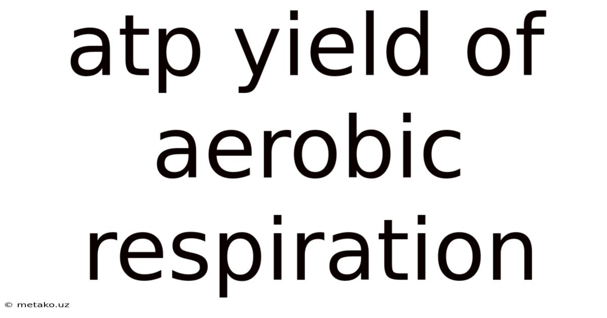 Atp Yield Of Aerobic Respiration