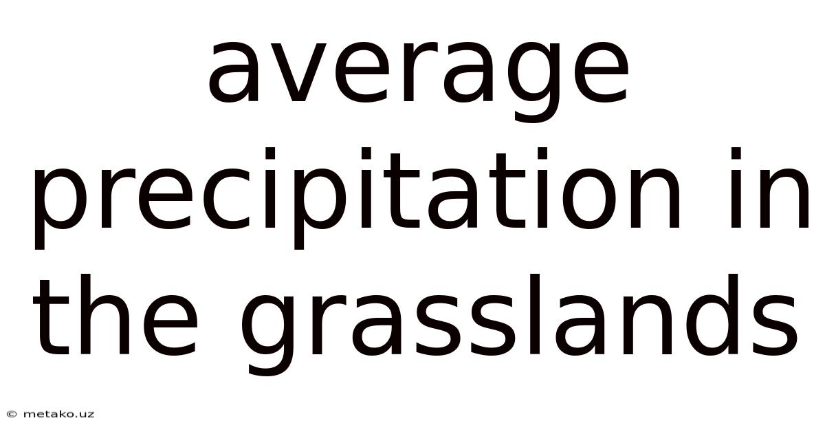 Average Precipitation In The Grasslands