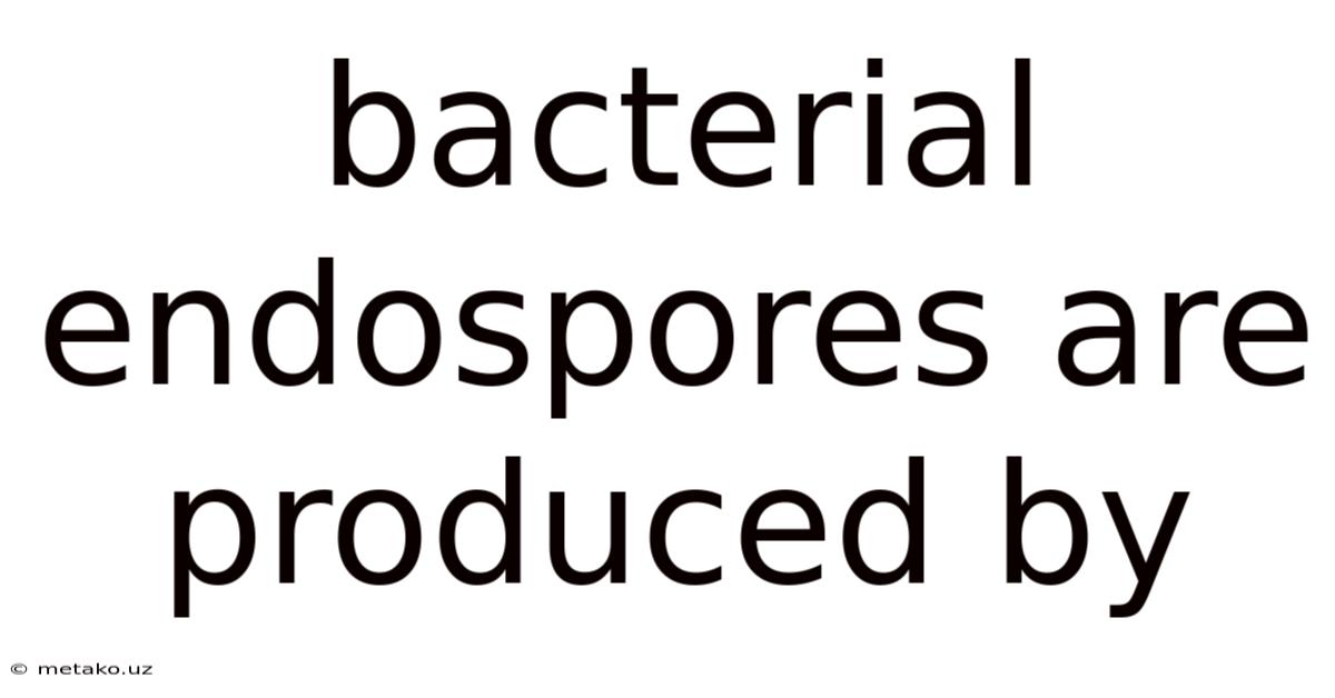 Bacterial Endospores Are Produced By