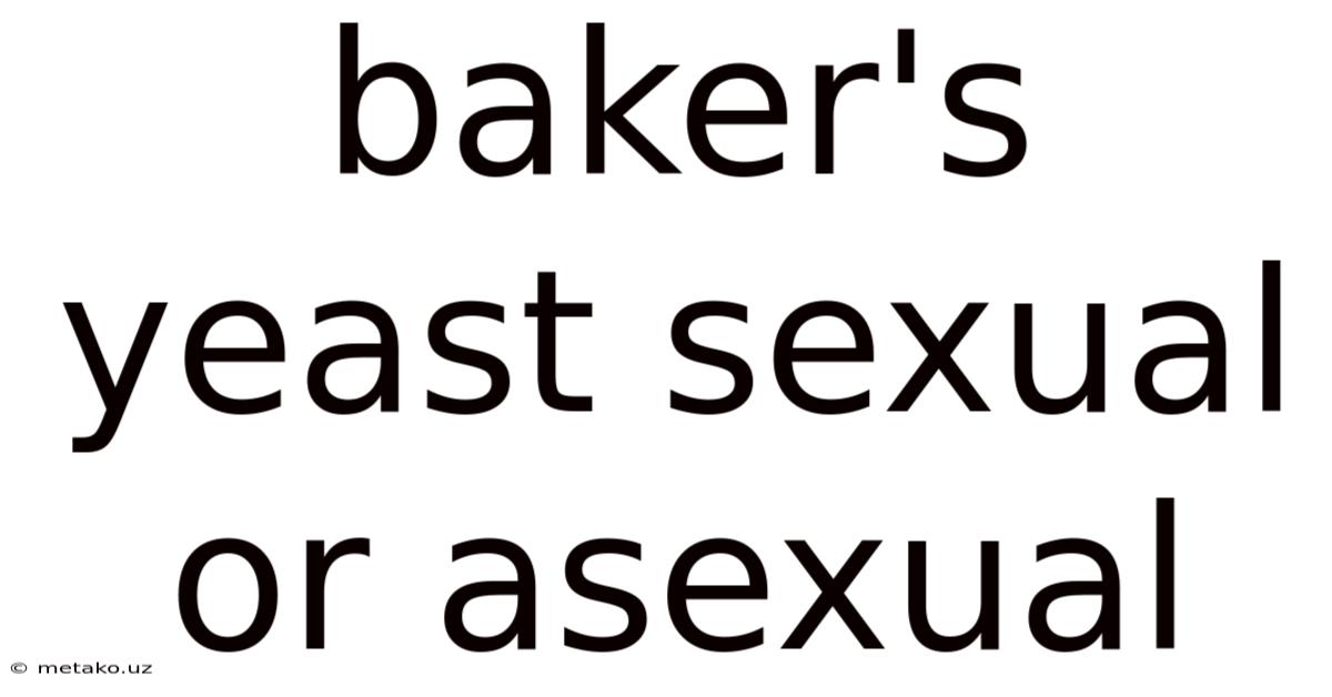 Baker's Yeast Sexual Or Asexual