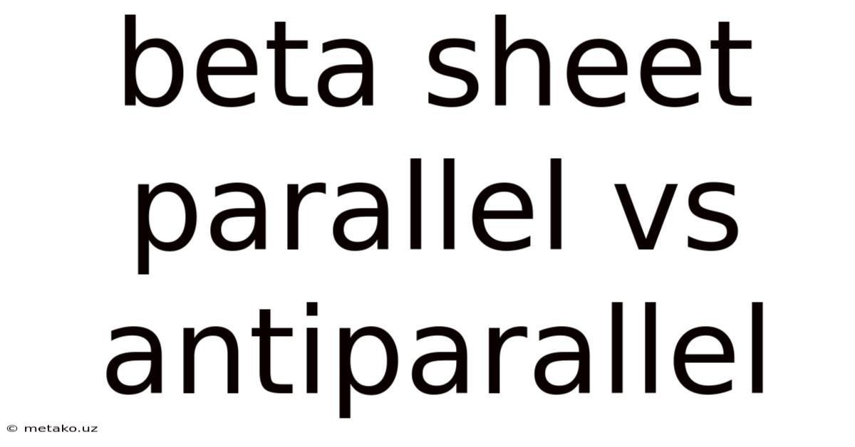 Beta Sheet Parallel Vs Antiparallel