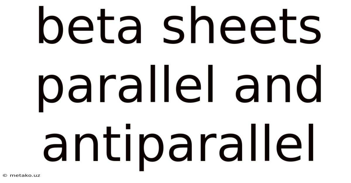 Beta Sheets Parallel And Antiparallel