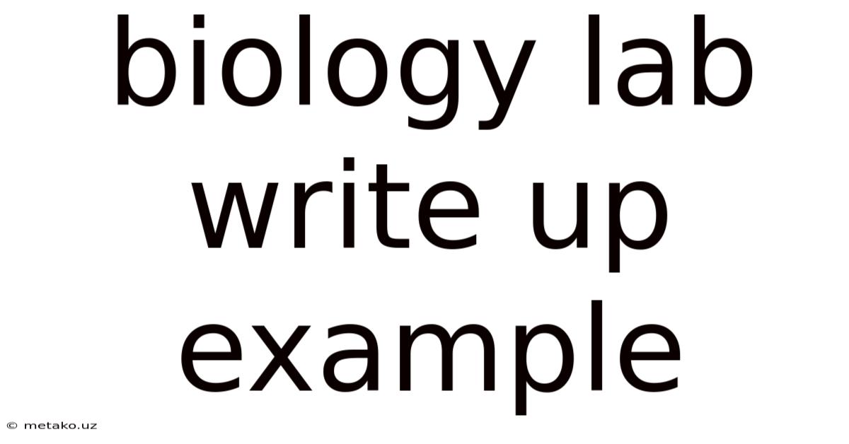 Biology Lab Write Up Example