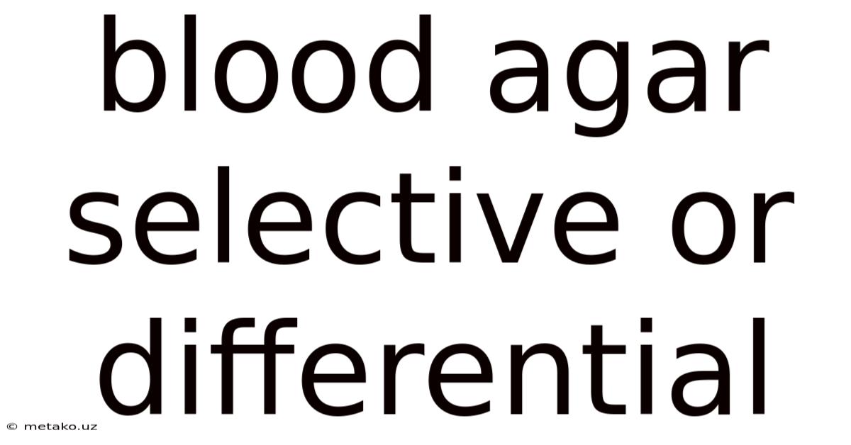 Blood Agar Selective Or Differential