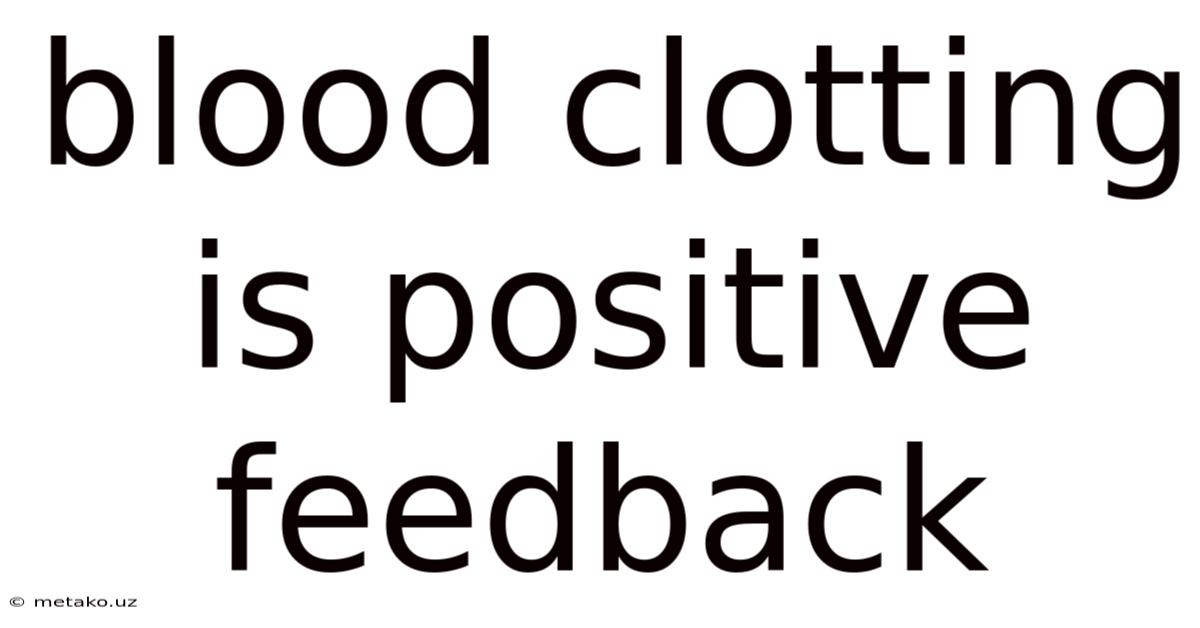 Blood Clotting Is Positive Feedback