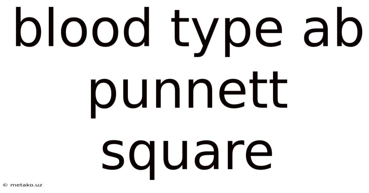 Blood Type Ab Punnett Square