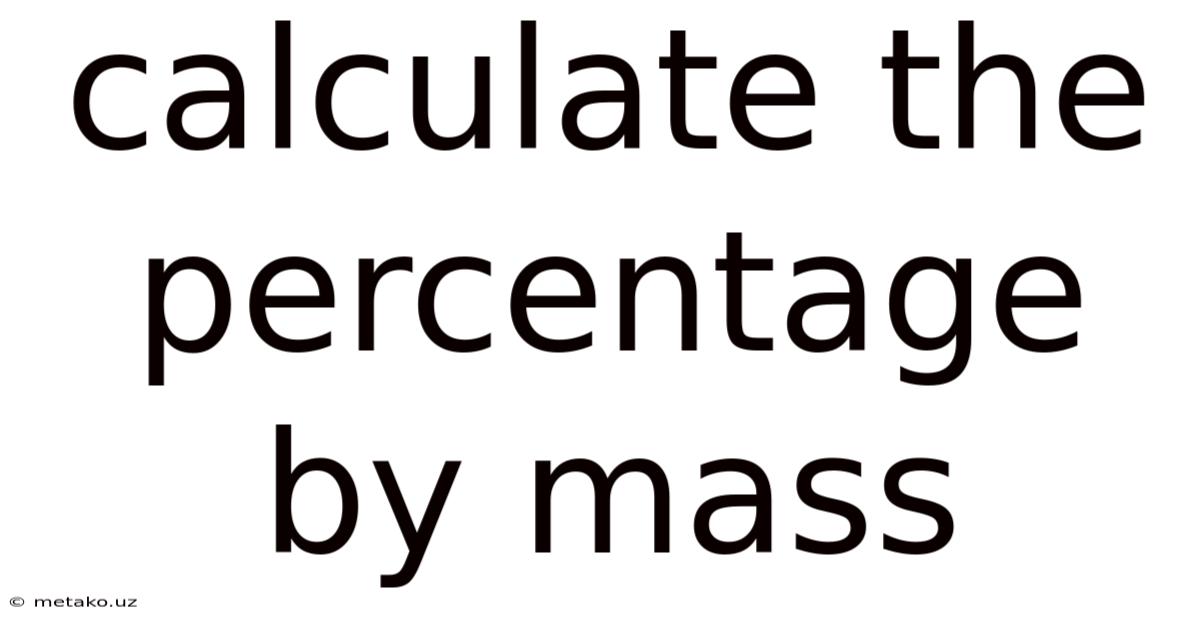 Calculate The Percentage By Mass