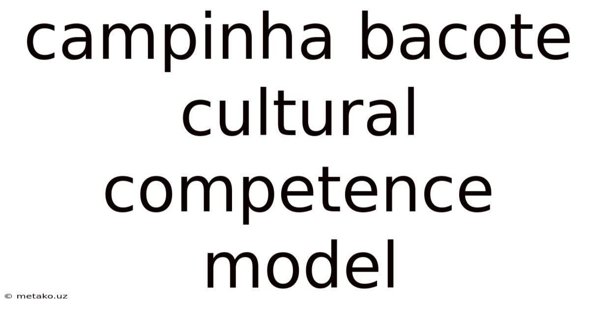 Campinha Bacote Cultural Competence Model