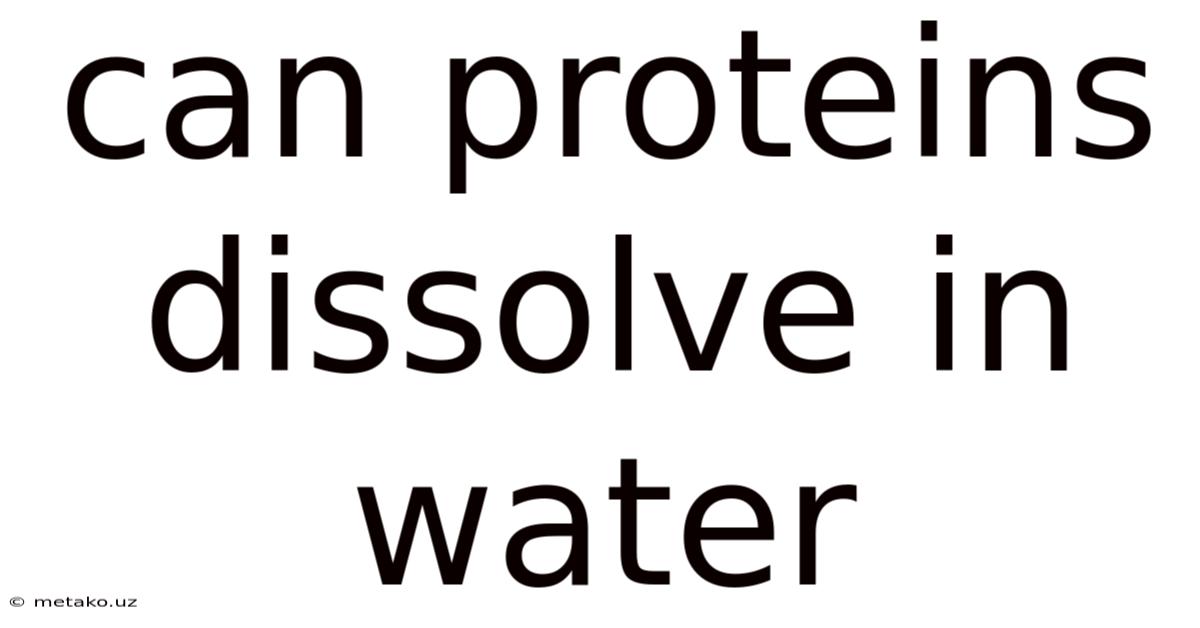 Can Proteins Dissolve In Water