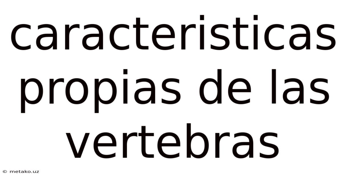 Caracteristicas Propias De Las Vertebras