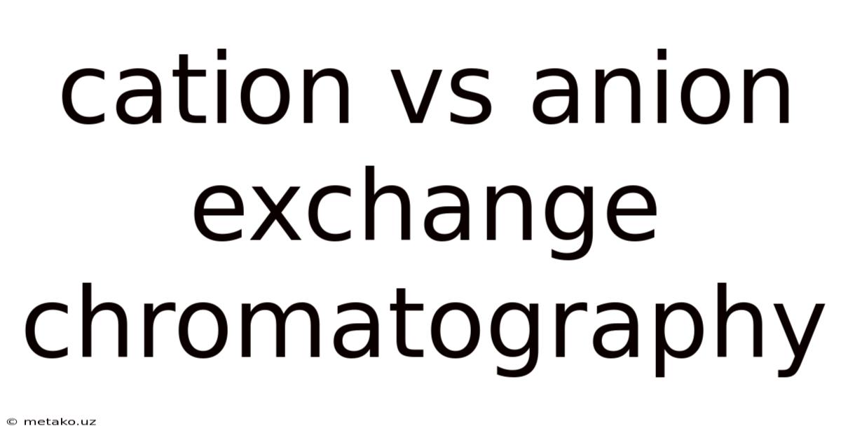 Cation Vs Anion Exchange Chromatography