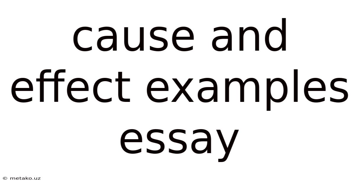 Cause And Effect Examples Essay
