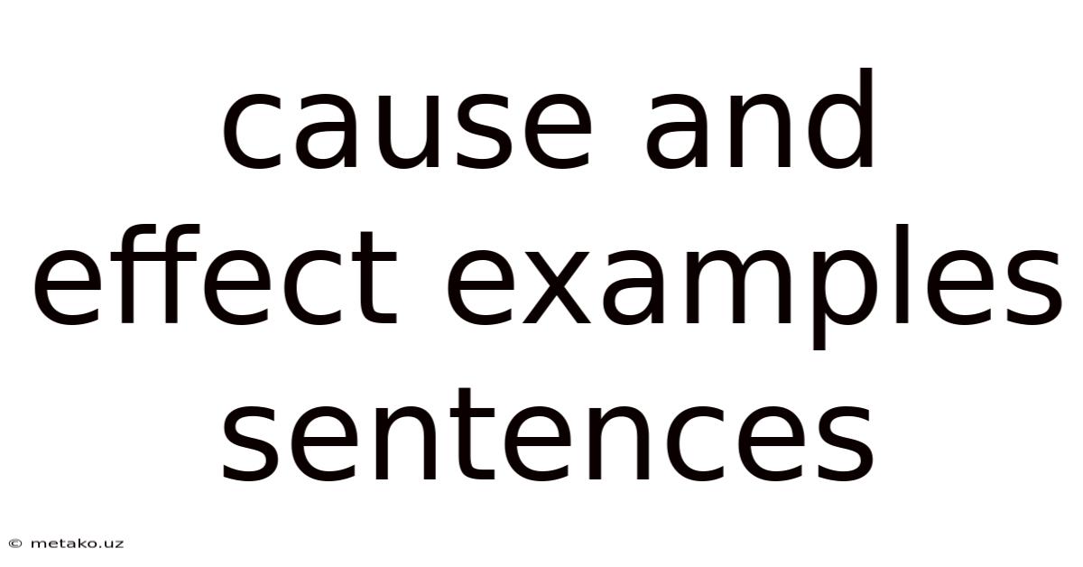 Cause And Effect Examples Sentences