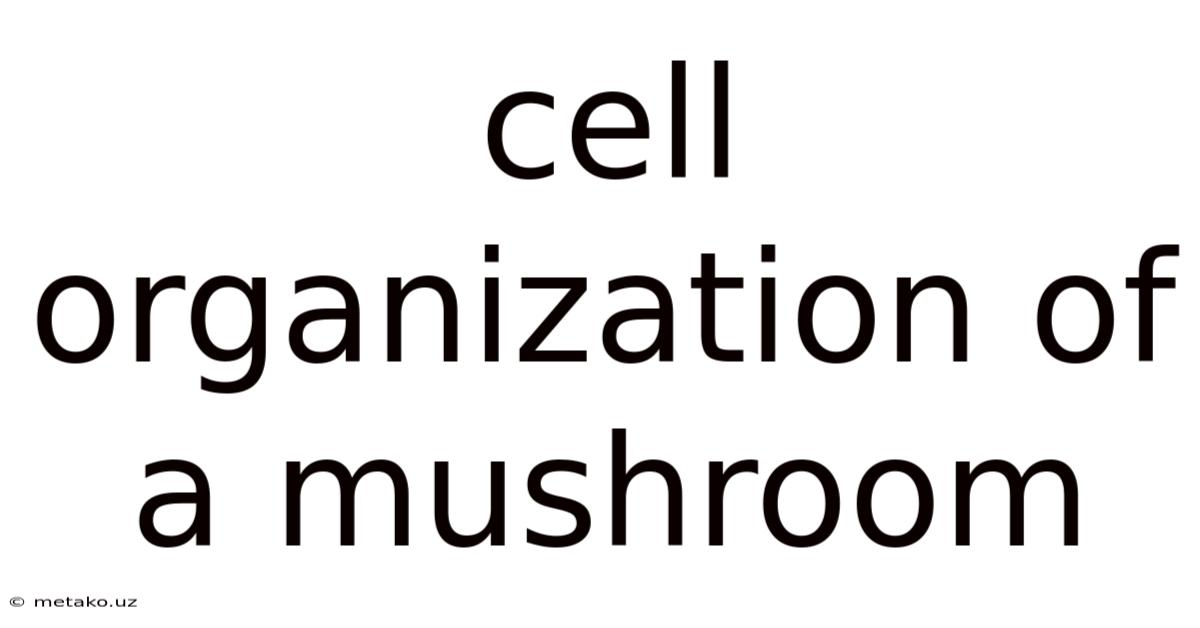 Cell Organization Of A Mushroom