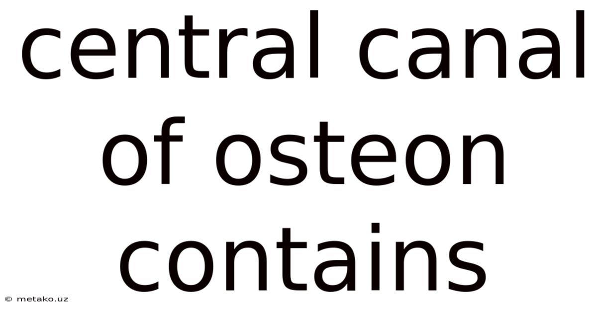 Central Canal Of Osteon Contains