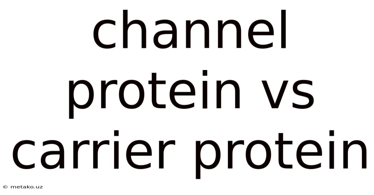 Channel Protein Vs Carrier Protein
