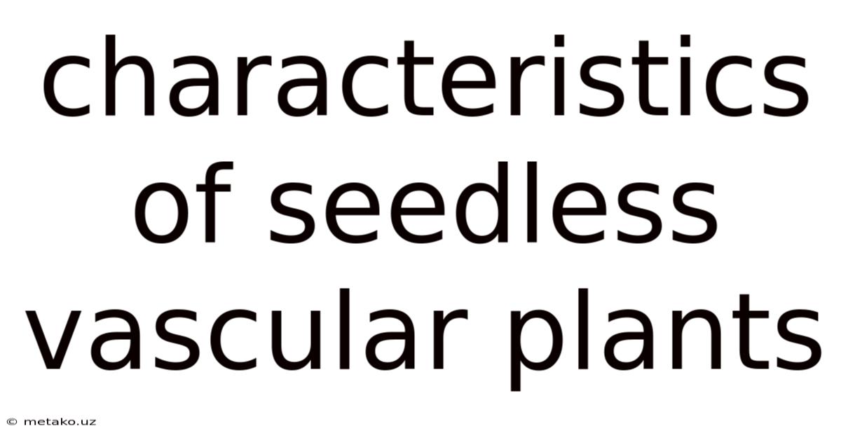 Characteristics Of Seedless Vascular Plants