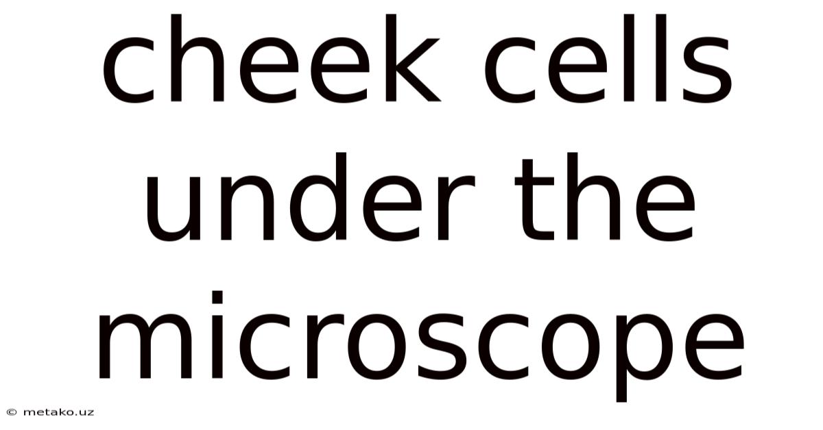 Cheek Cells Under The Microscope