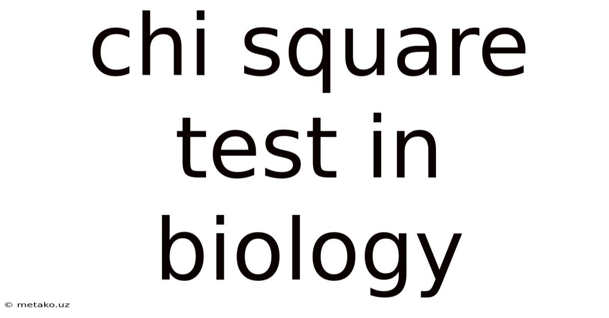 Chi Square Test In Biology